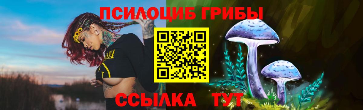 Галлюциногенные грибы прущие грибы  Вход с VPN  Галлюциногенные грибы Cubensis  Кириши 